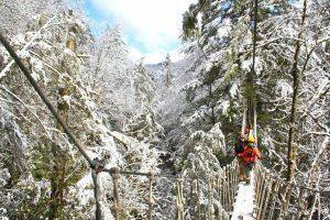 TreeTops Zipline Canopy Tour Adventures on the Gorge Winter Snow