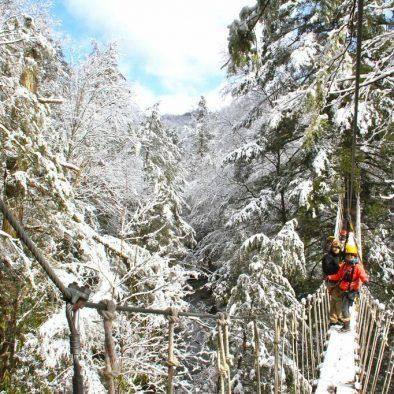 TreeTops Zipline Canopy Tour Adventures on the Gorge Winter Snow