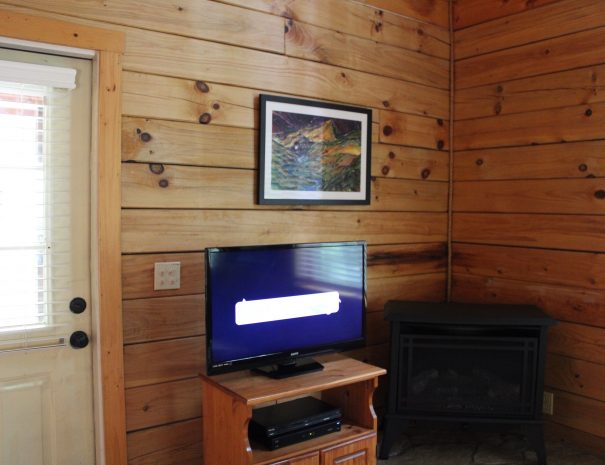 Iron Ring Cabin Living Room TV and Fireplace 1