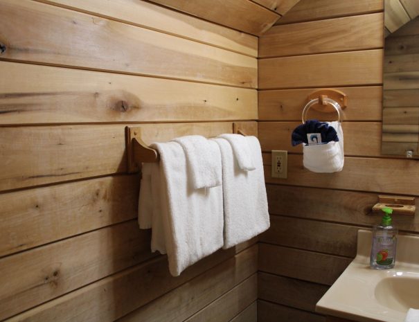 Appalachian Cabin Bathroom 1