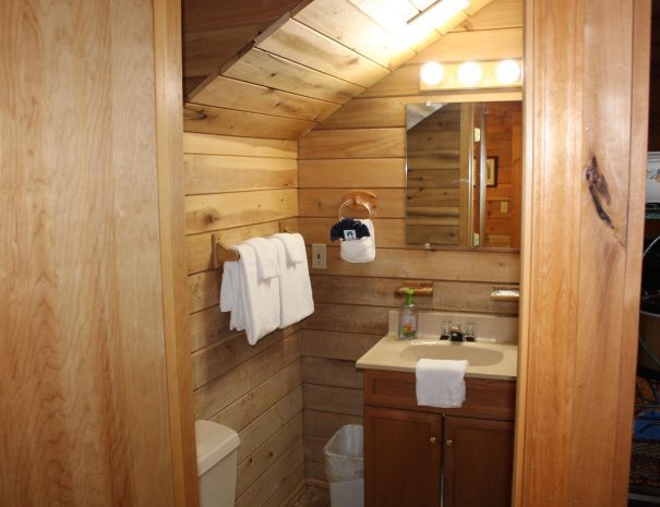 Appalachian Cabin Bathroom