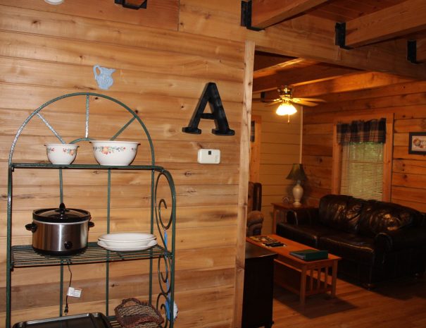 Appalachian Cabin Living Room