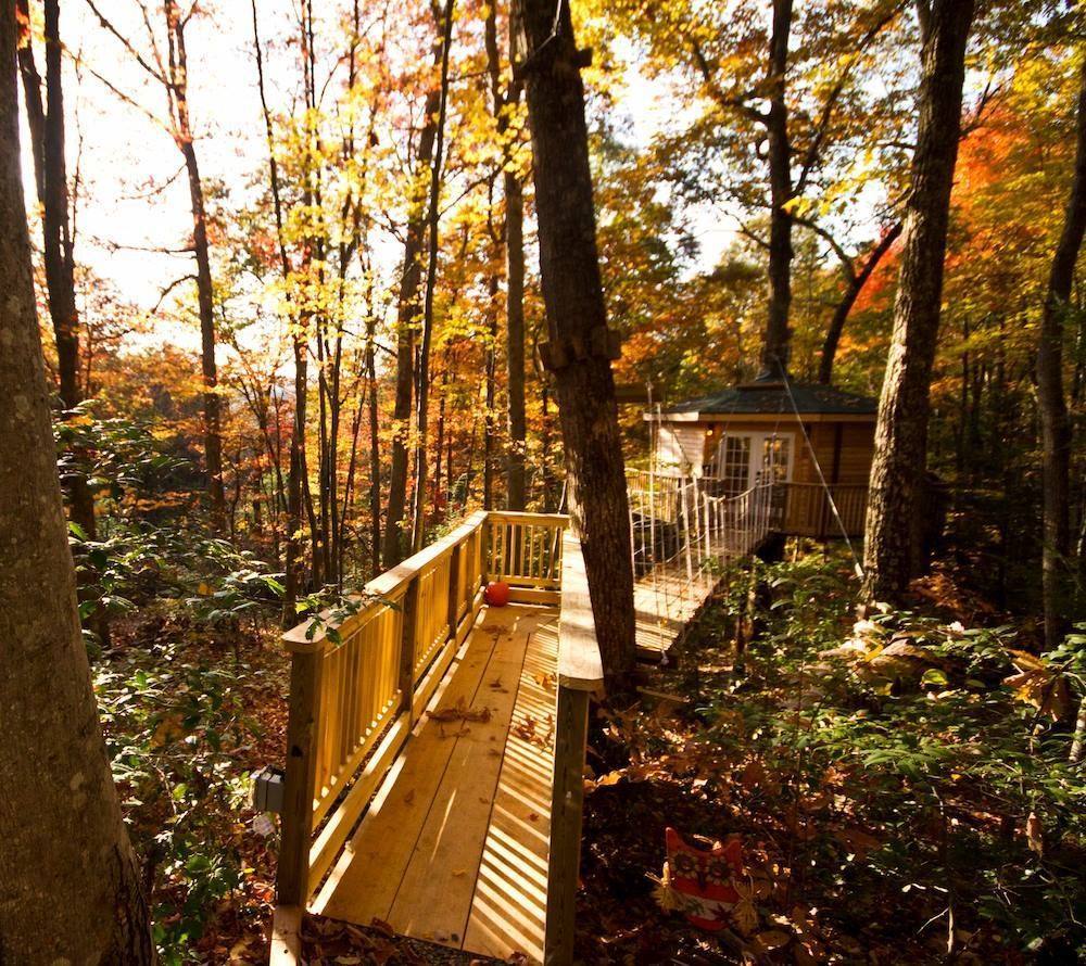 Holly Rock Treehouse Cabin Outside Fall Leaves