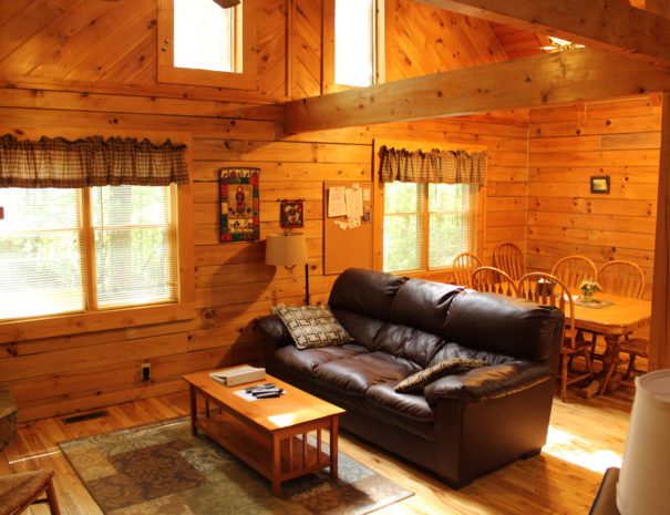 Lost Paddle Cabin Living Room