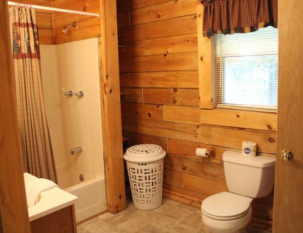 Lost Paddle Cabin Downstairs Bathroom 2