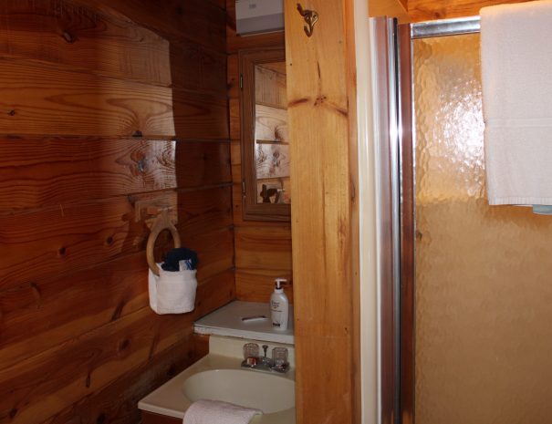 Cherokee Cabin Bathroom 11