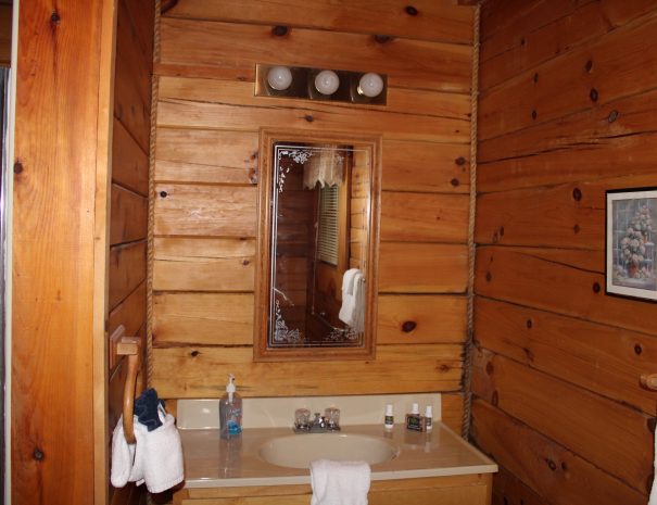 Jackson Cabin Bathroom