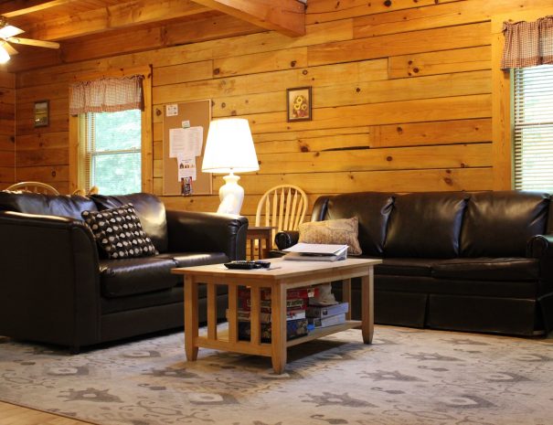 Pillow Rock Cabin Living Room