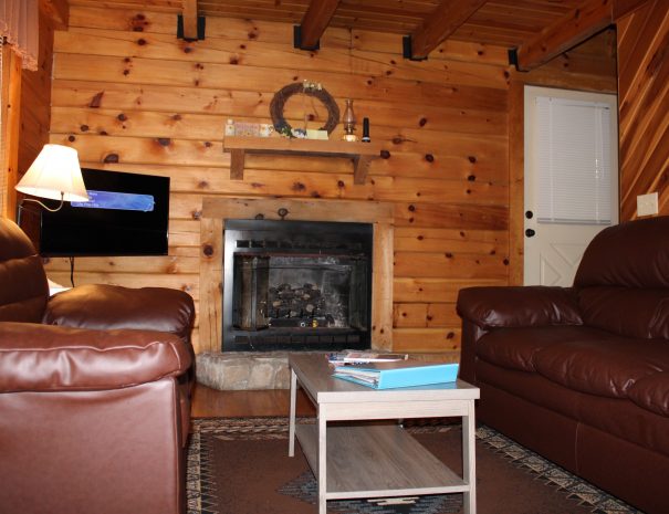 Spencer Cabin Living Room