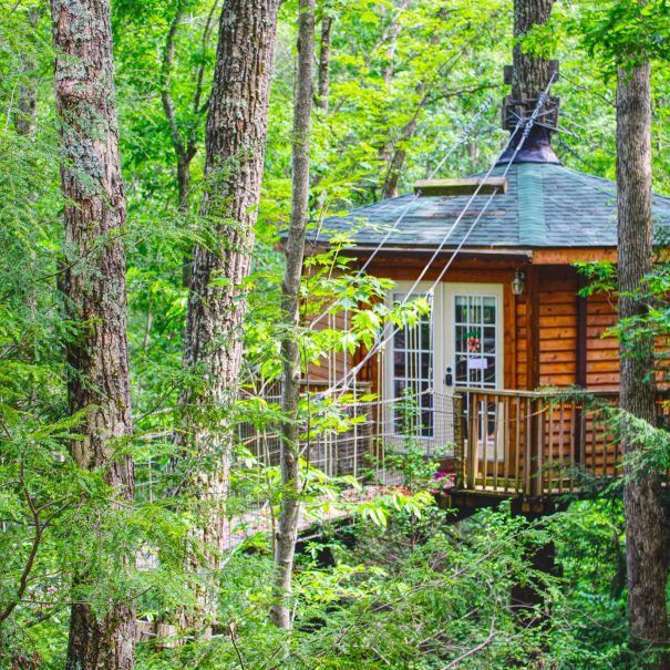 Holly Rock Treehouse Cabin