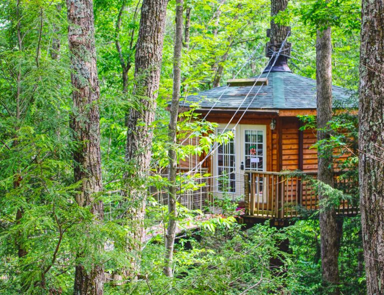 Holly Rock Treehouse Cabin