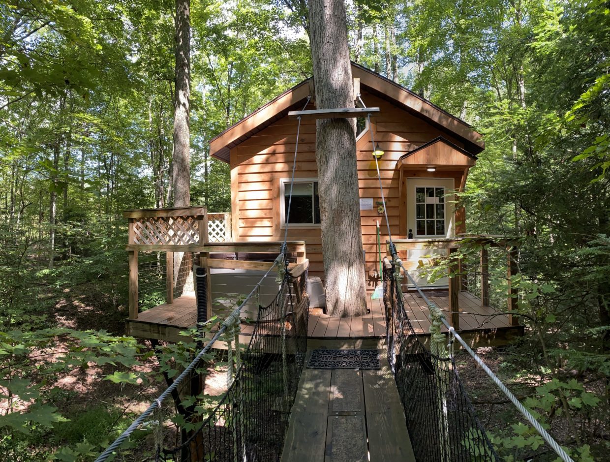 Tuscany Treehouse Panorama