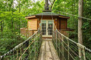 Holly Rock Treehouse Cabin Outside with Walkway