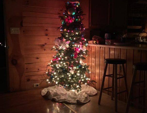 Christmas Tree in Cabin