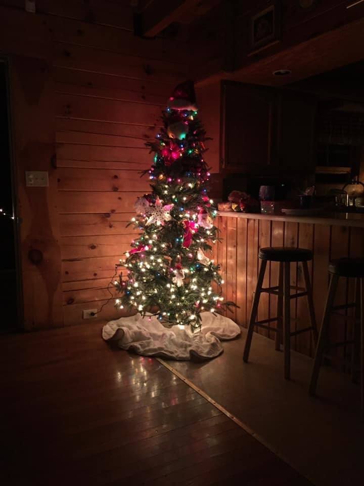 Christmas Tree in Cabin