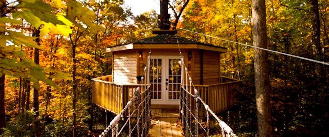 Fall Holly Rock Treehouse