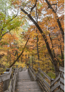 Fall Trail Picture Yanfei Guo