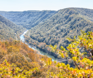 Fall Landscape in the New River Gorge