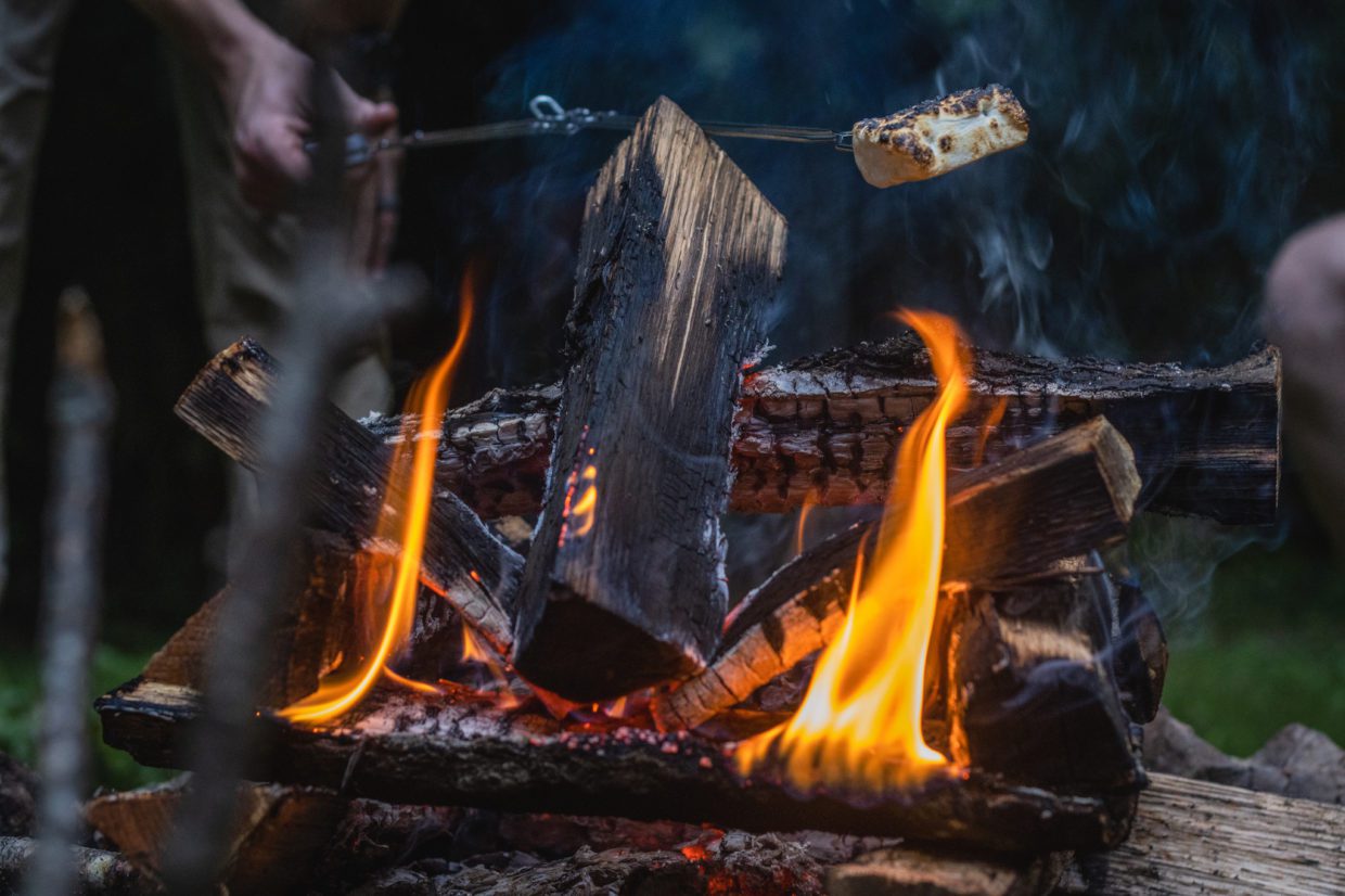 Firepit Roasting Marshmallows