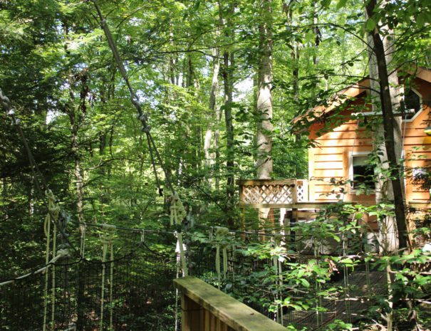 Tuscany Treehouse Through The Trees