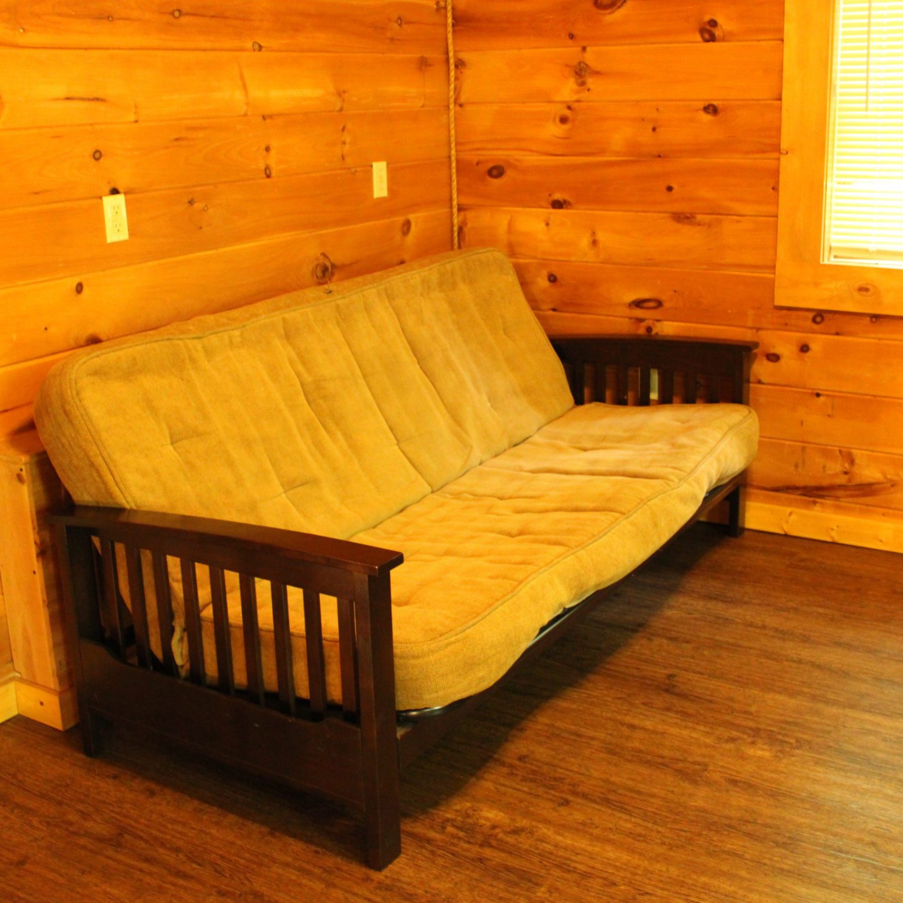 Insignificant Pull-Out Sofa